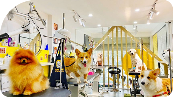 Uy Tín - Chất Lượng